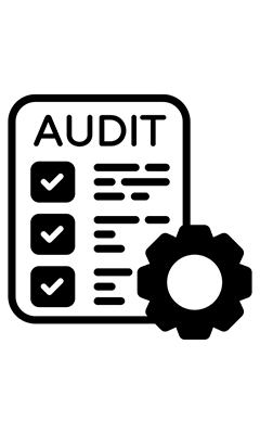 Full-Site Technical Audit